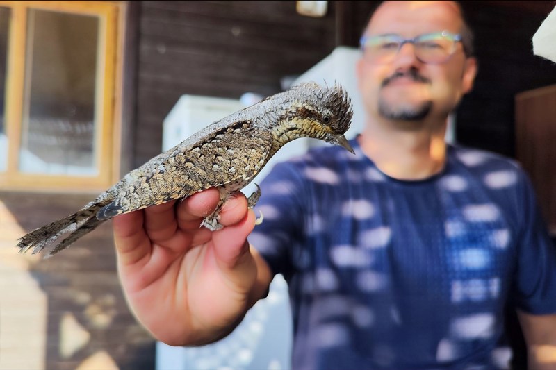ALKÜ ÖNCÜLÜĞÜNDE KIBRIS’IN İLK KUŞ HALKALAMA İSTASYONU KURULDU